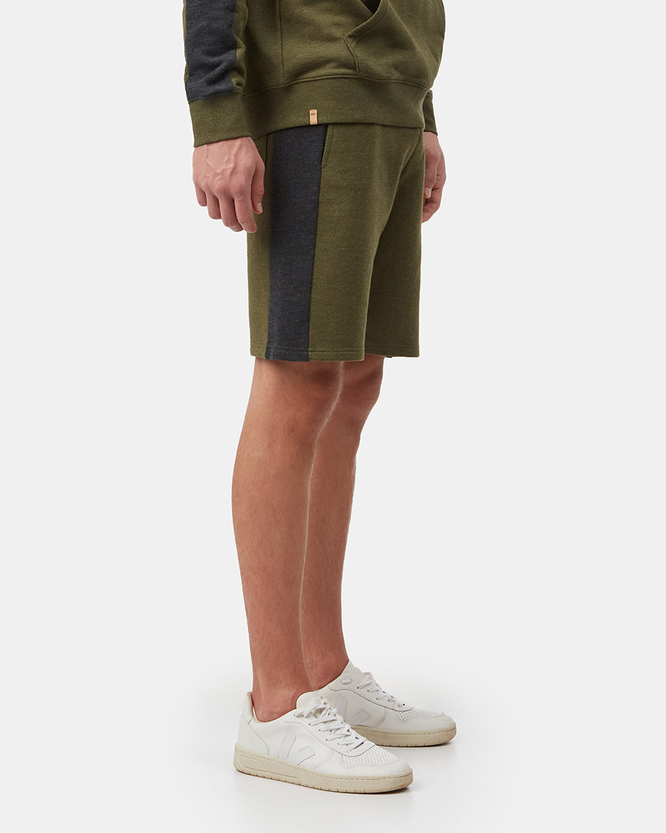 Black,Green Men's Organic Cotton Block Stripe Sweatshorts