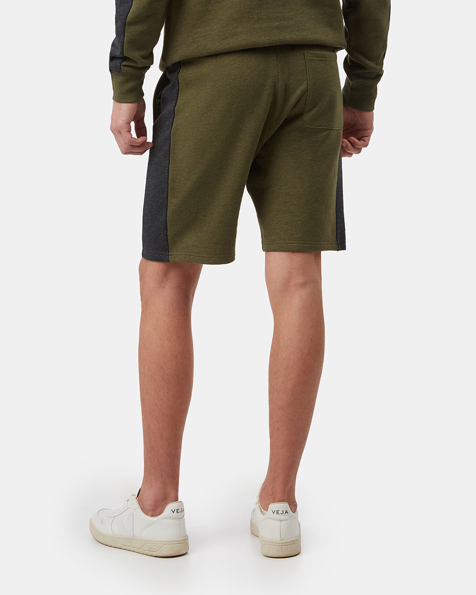 Black,Green Men's Organic Cotton Block Stripe Sweatshorts