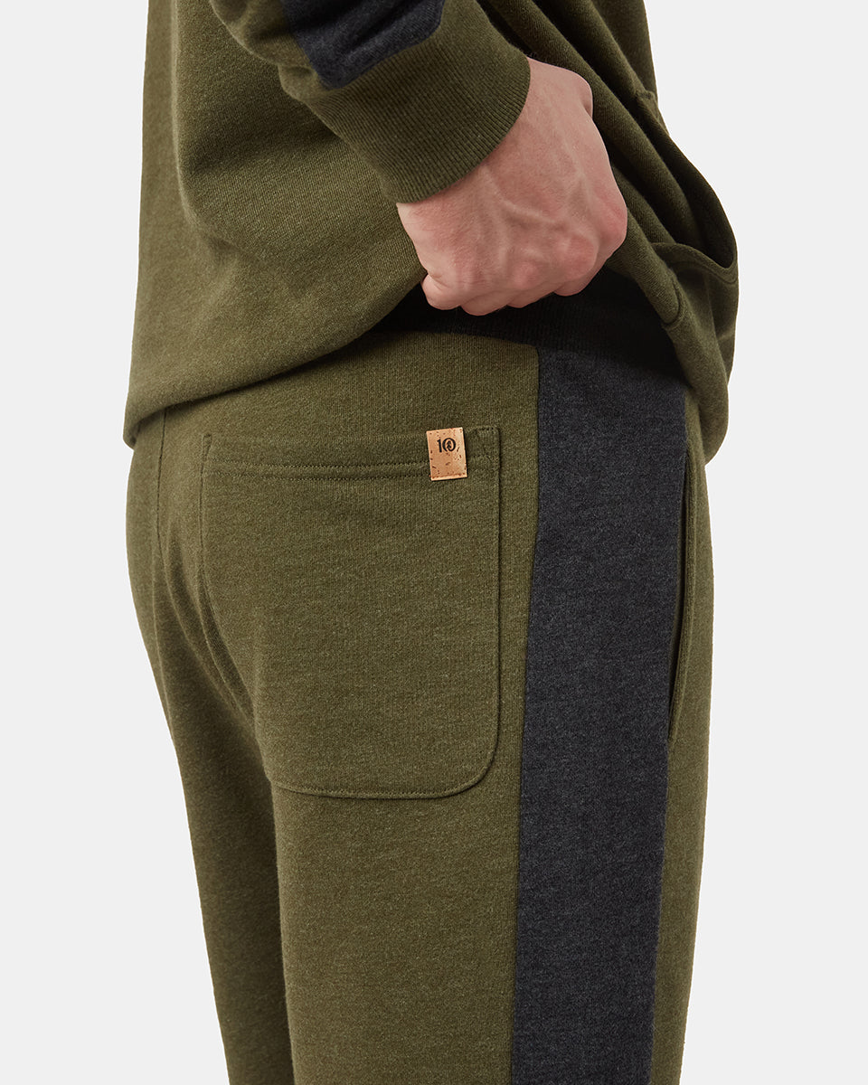 Black,Green Men's Organic Cotton Block Stripe Sweatshorts