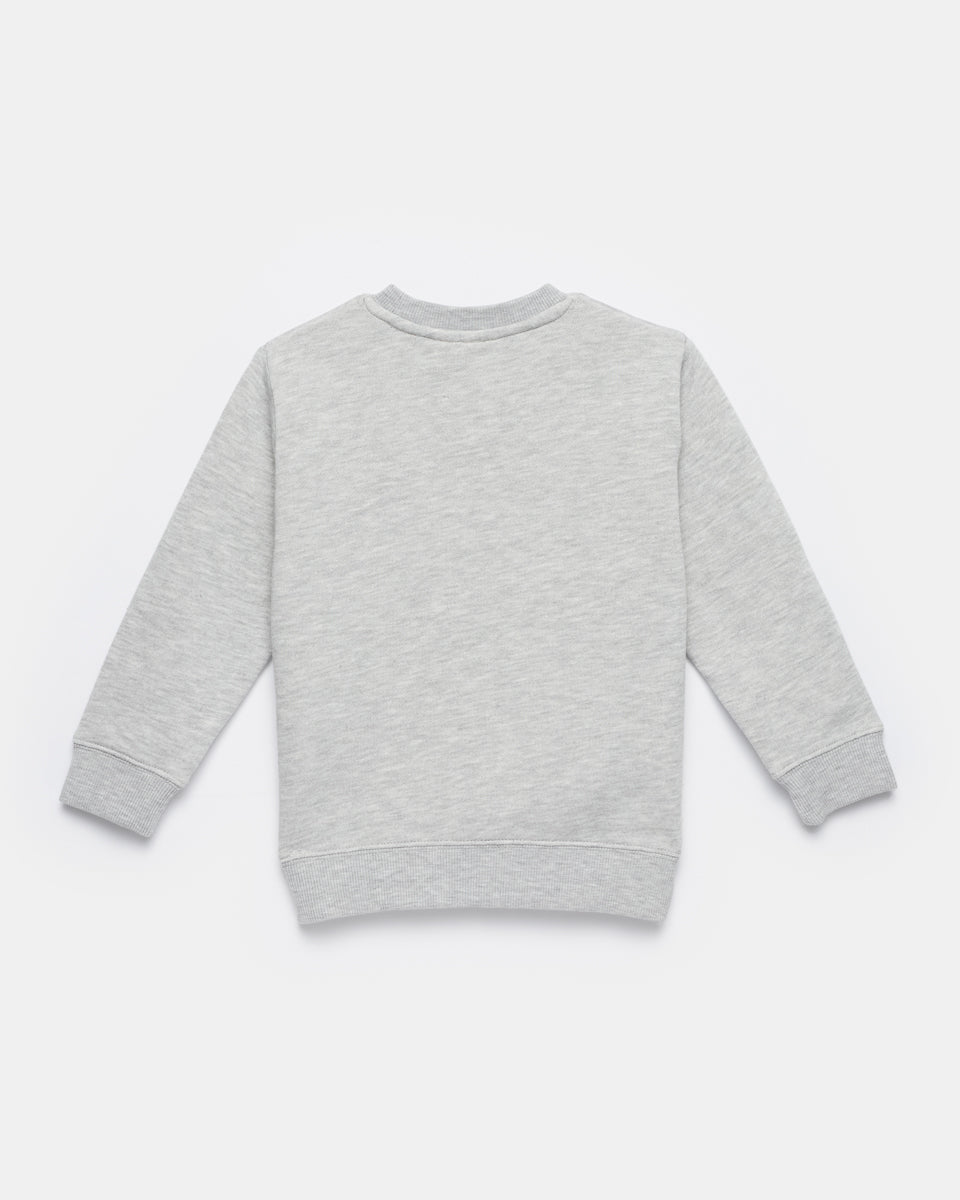 Gray Kids Graphic Crew Neck Sweatshirt