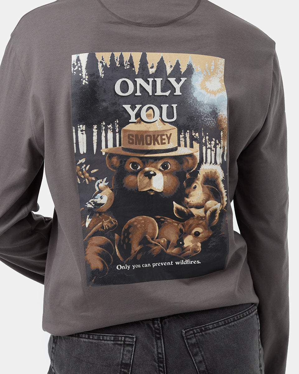 grey_smokeybear_graphic_longsleeve