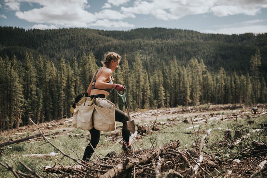 Want A Job Planting Trees? This Is What Veteran Tree Planters Want You To Know