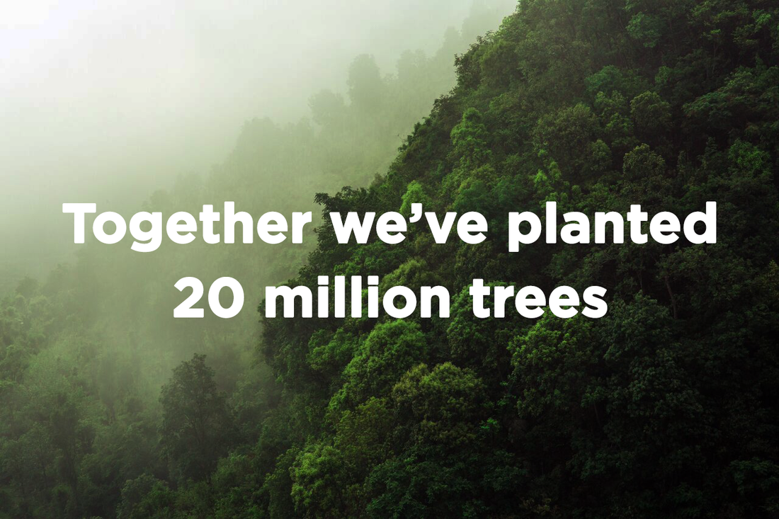 It’s Arbor Day And Together We’ve Planted 20 Million Trees