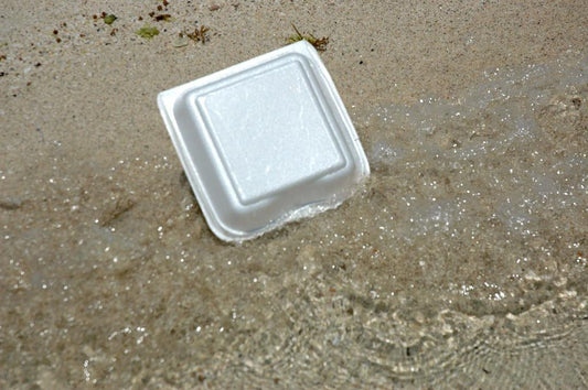 New York City Bans Plastic Foam Containers