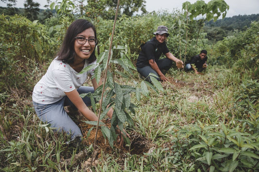 tentree Is About To Start Planting In Indonesia! Here's How Your Trees Will Help