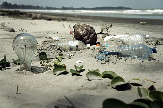 10 Facts That'll Make You Ditch Single-Use Plastics For Good
