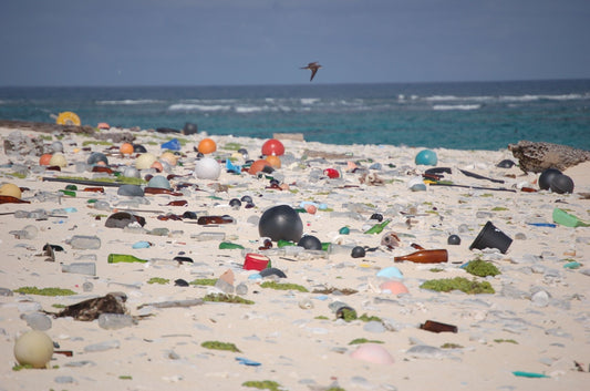 10 Facts About Plastic Pollution And 10 Things You Can Do About It