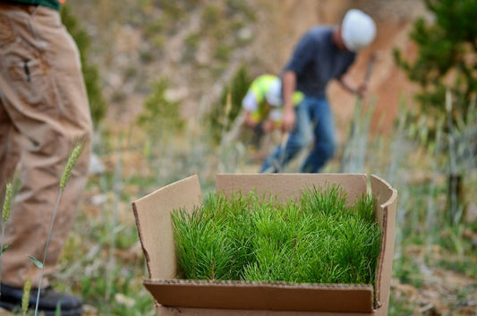 11 Of The Best Careers For Nature Enthusiasts