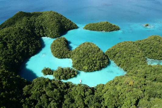 Palau Set To Ban Toxic Sunscreens To Protect Coral Reefs