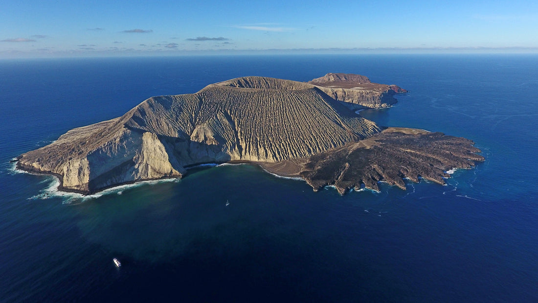 Mexico Establishes Huge Pacific Ocean Reserve Near "Galapagos of North America"