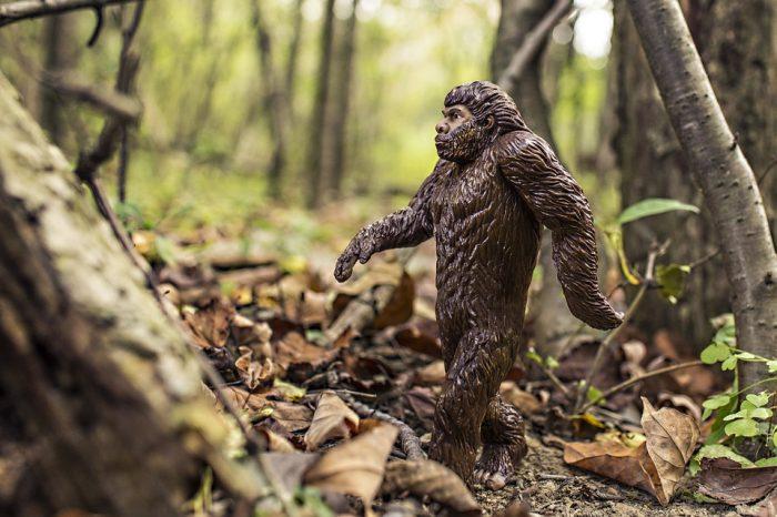 Looking For Sasquatch? These Are Hiking Spots Where You're Likely To See Bigfoot