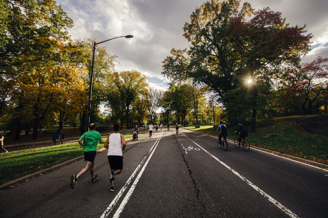 Urban Trees Store Almost As Much Carbon As Tropical Rainforests