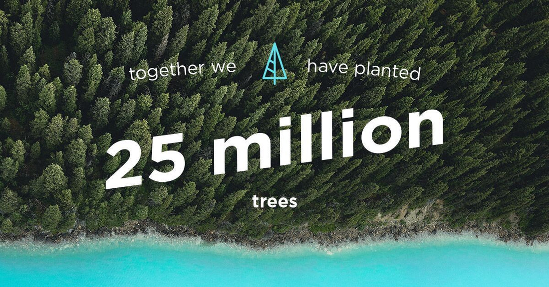 Thanks To You, We've Planted More Than 25 Million Trees!