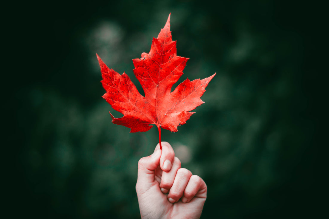 10 Of The Best Places To See The Leaves Change In Canada