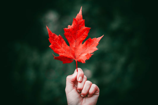 10 Of The Best Places To See The Leaves Change In Canada