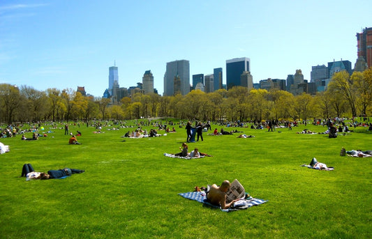 New York's Central Park To Go Car-Free