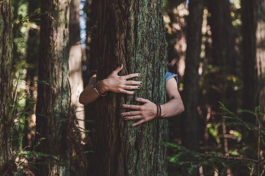 10 Weird Reasons Why Trees Are Our Best Friends