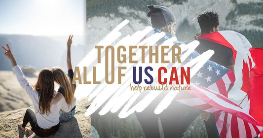 We're Planting Trees In Canada And The United States! Here's How You Can Get Involved