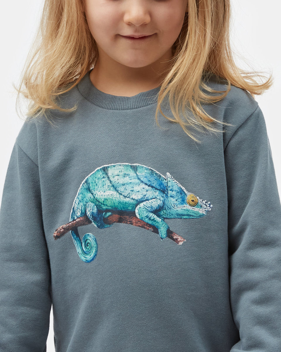 Blue Kids Organic Cotton Graphic Pullover