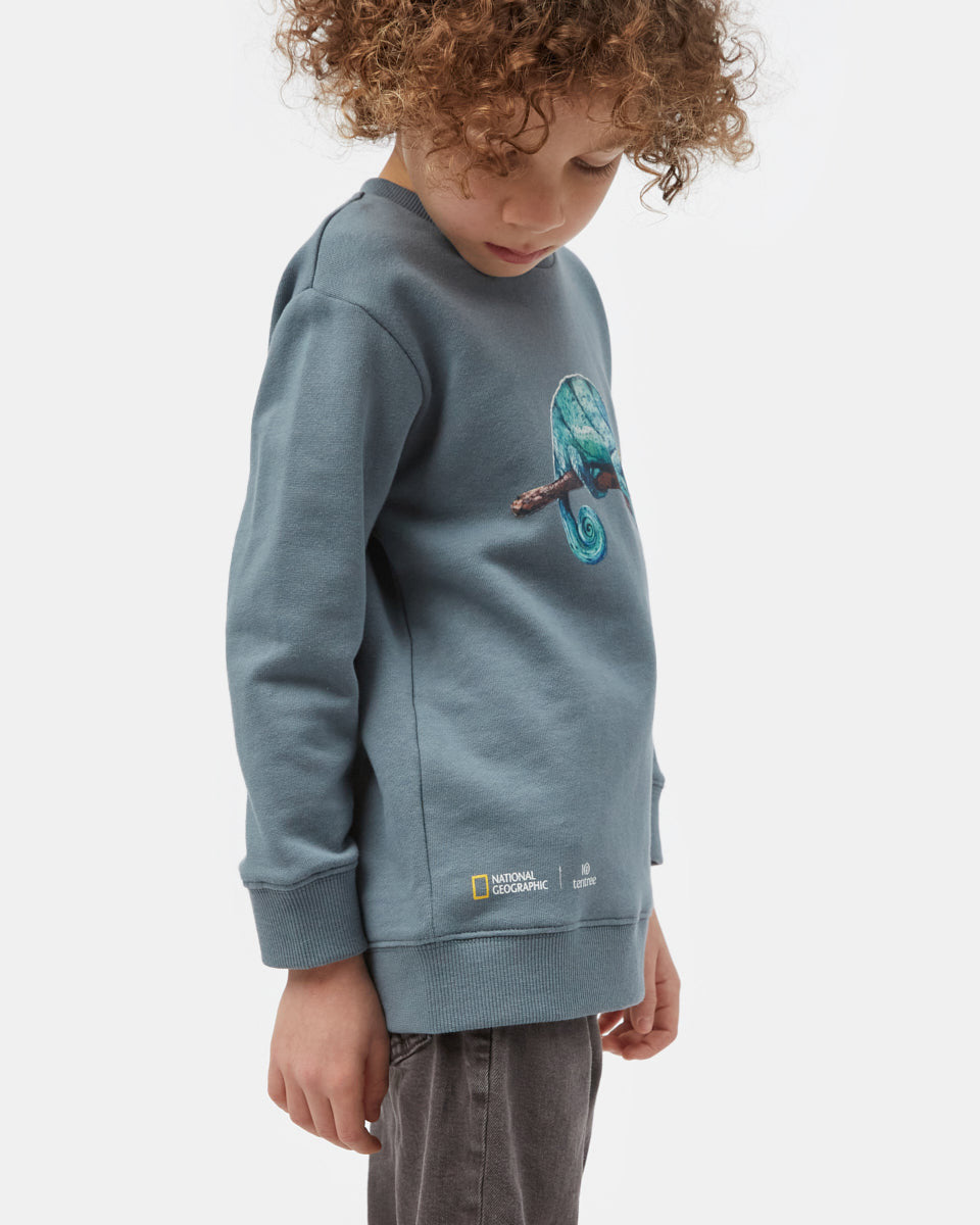 Blue Kids Organic Cotton Graphic Pullover