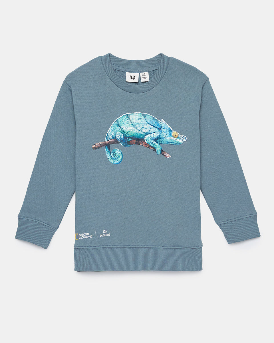 Blue Kids Organic Cotton Graphic Pullover