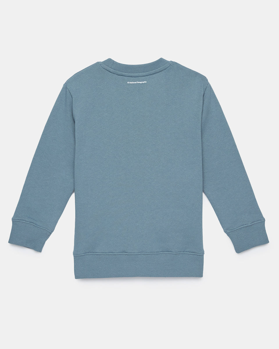 Blue Kids Organic Cotton Graphic Pullover