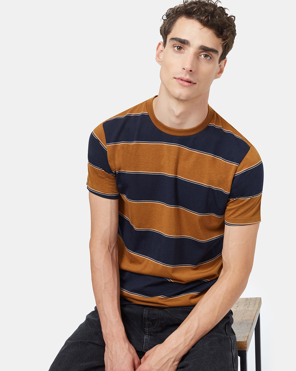 Blue,Brown Recycled Polyester Stripe T-Shirt