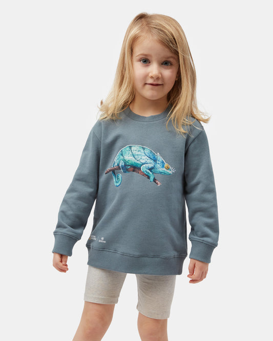 Blue Kids Organic Cotton Graphic Pullover