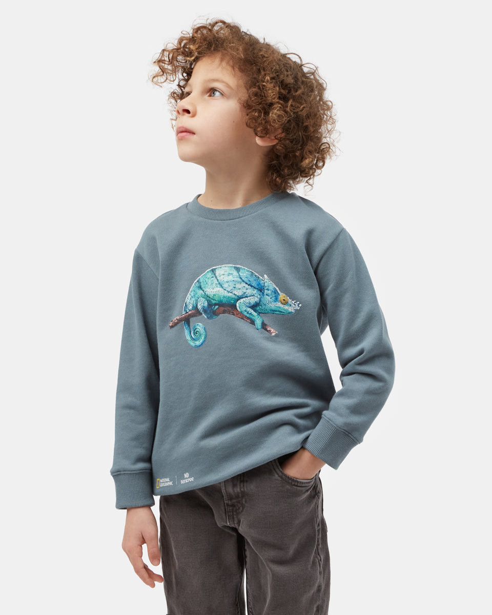 Blue Kids Organic Cotton Graphic Pullover