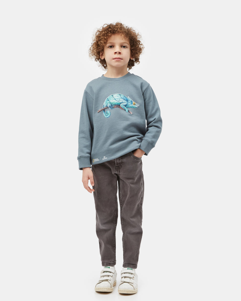 Blue Kids Organic Cotton Graphic Pullover