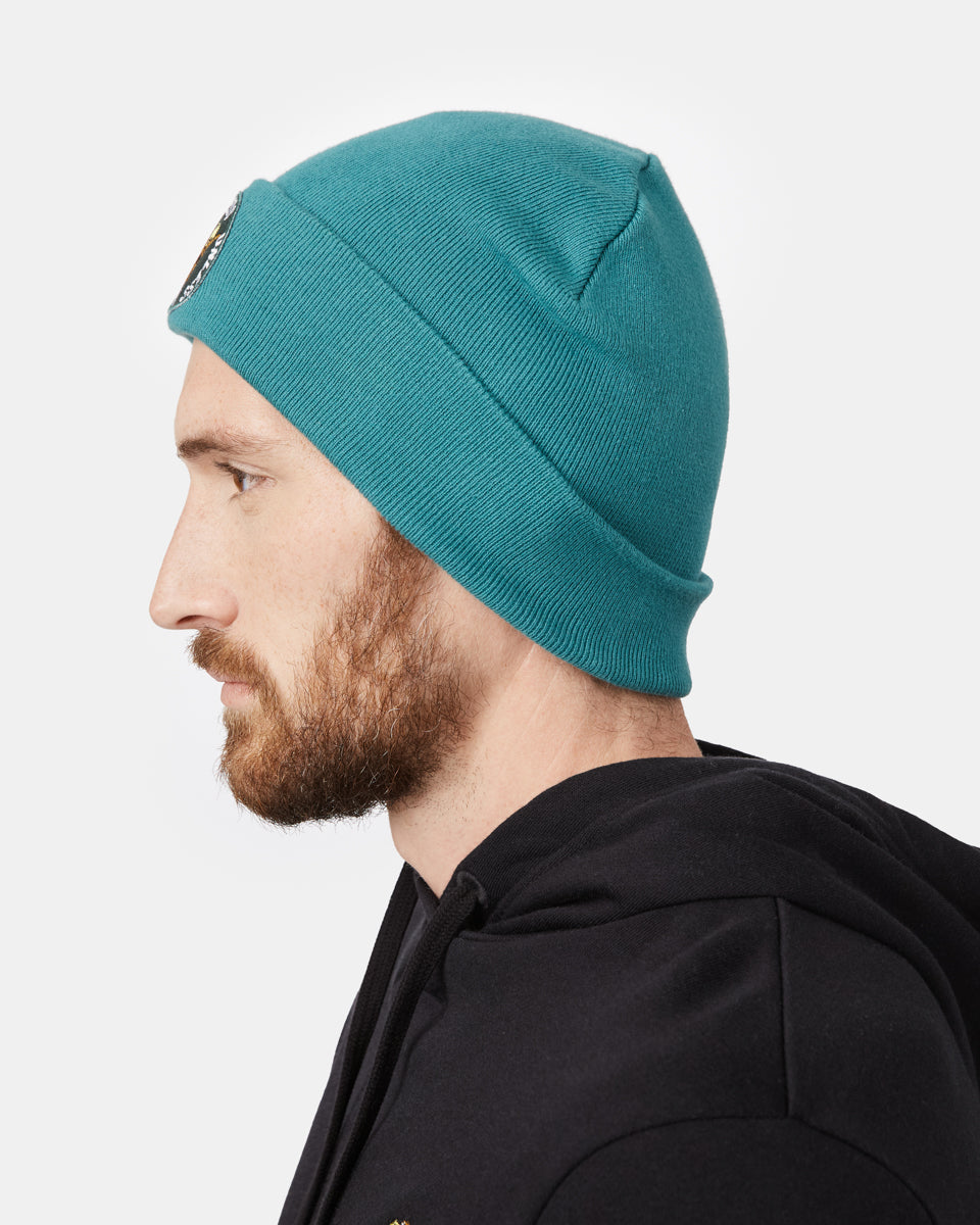 Blue Lorax Organic Cotton Toque