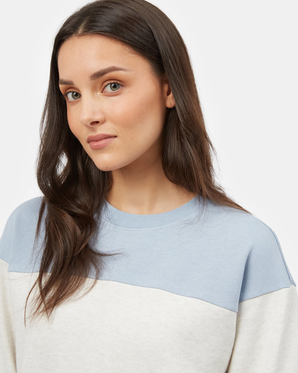 Blue,White Women's Eco-Friendly Stripe Pullover