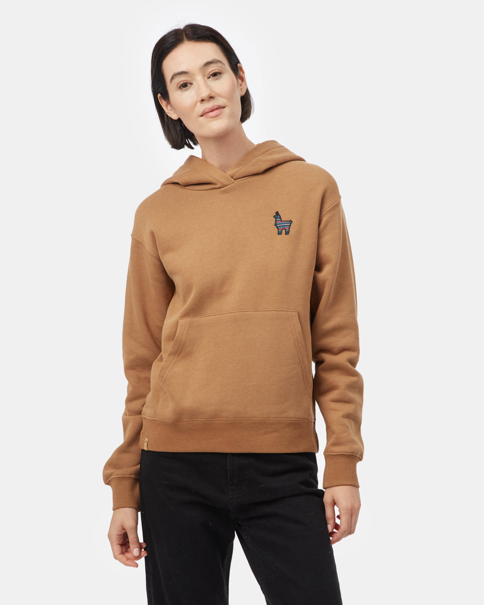 Brown Embroidered Pullover Hoodie