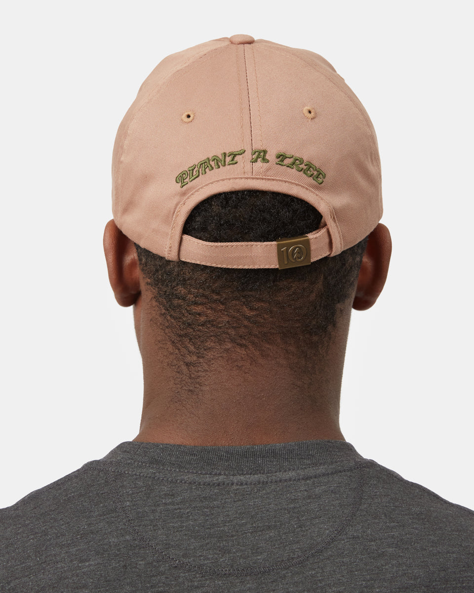 Brown Organic Cotton Graphic Dad Hat