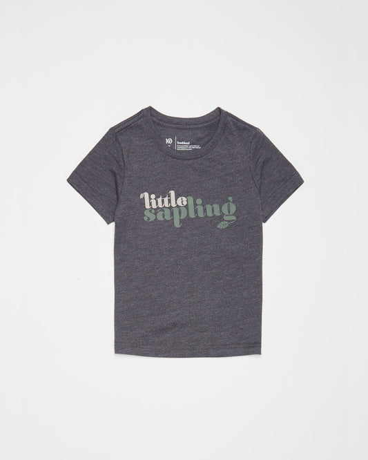 Gray Kids Lorax Graphic Tee