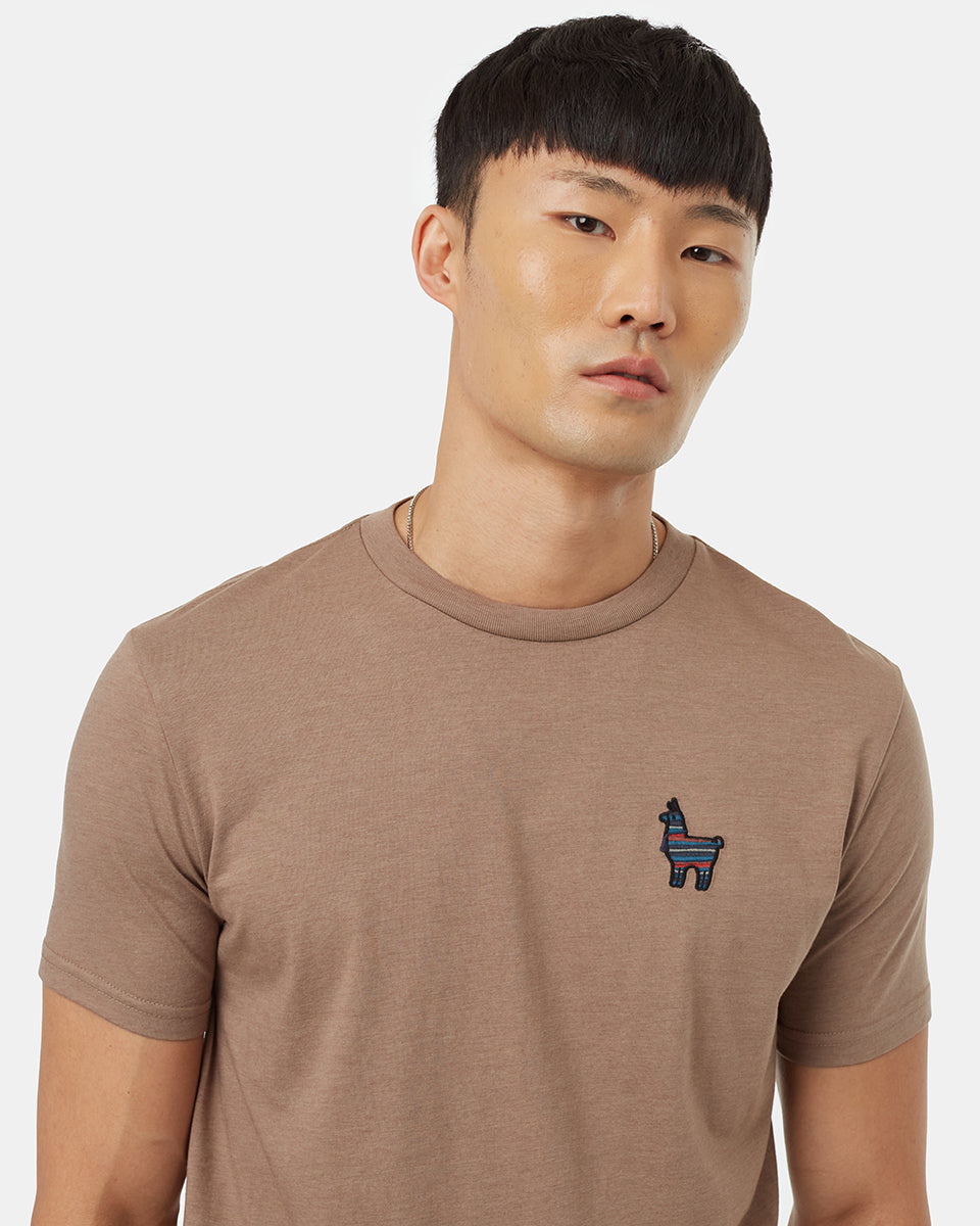 Mens-Eco-Friendly-Tee