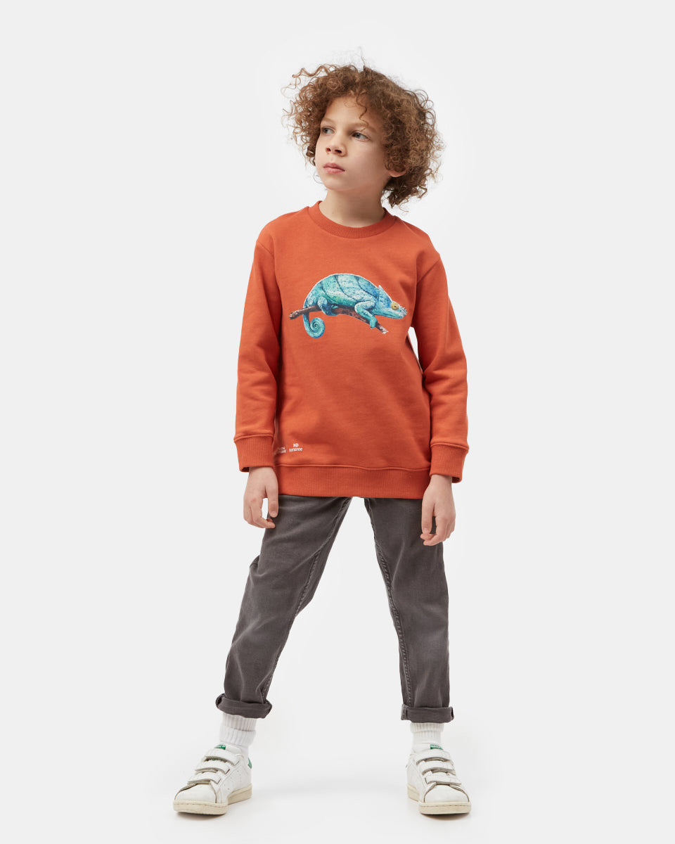 Orange Kids Organic Cotton Graphic Pullover