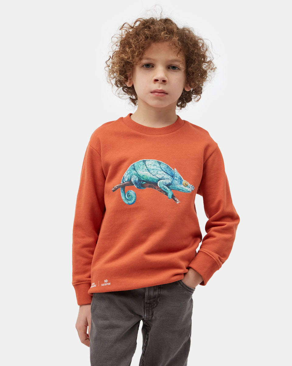 Orange Kids Organic Cotton Graphic Pullover