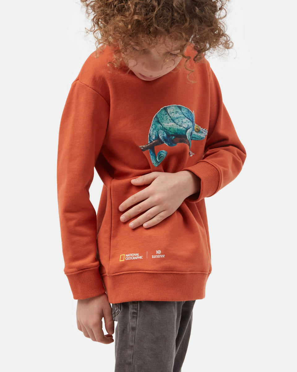 Orange Kids Organic Cotton Graphic Pullover