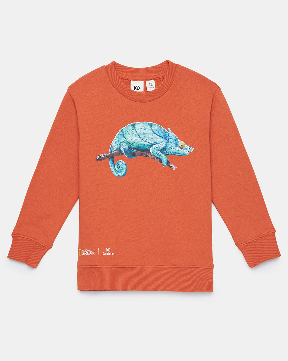 Orange Kids Organic Cotton Graphic Pullover