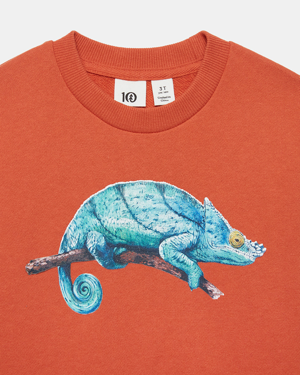 Orange Kids Organic Cotton Graphic Pullover