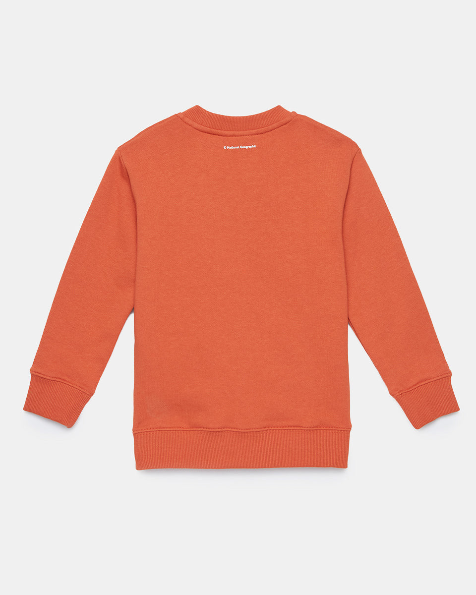 Orange Kids Organic Cotton Graphic Pullover