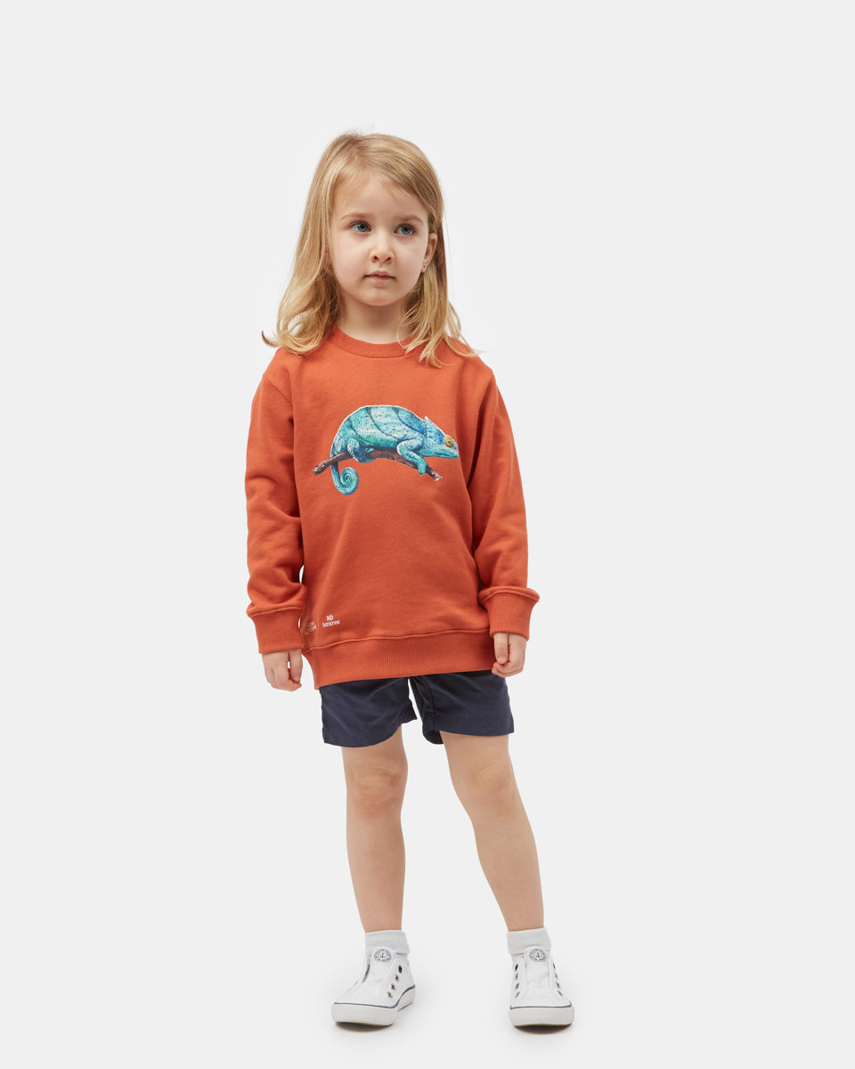 Orange Kids Organic Cotton Graphic Pullover