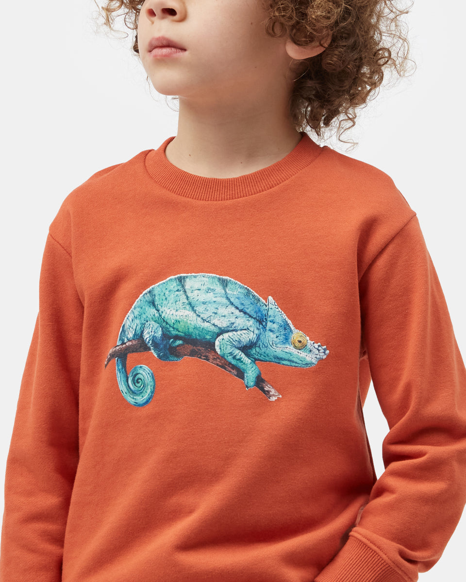 Orange Kids Organic Cotton Graphic Pullover