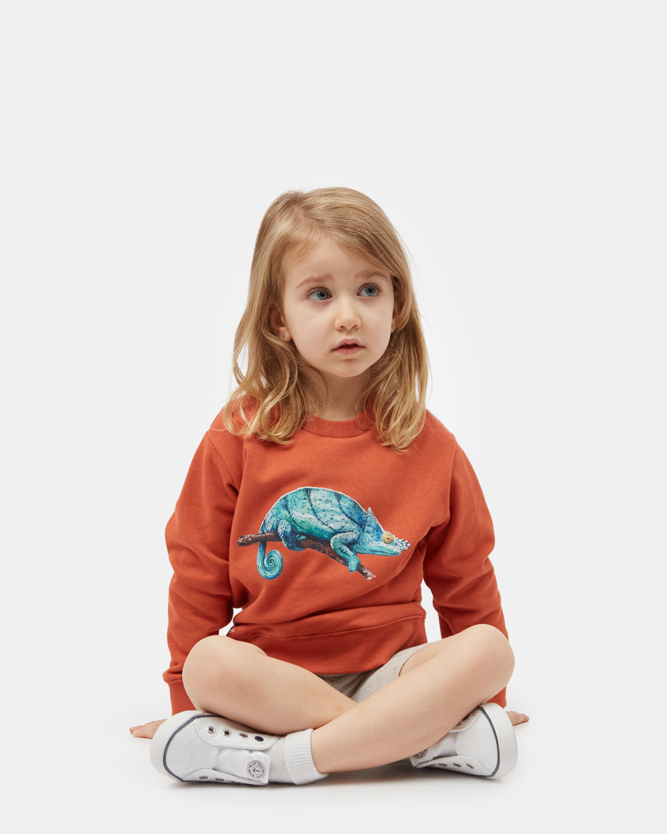 Orange Kids Organic Cotton Graphic Pullover