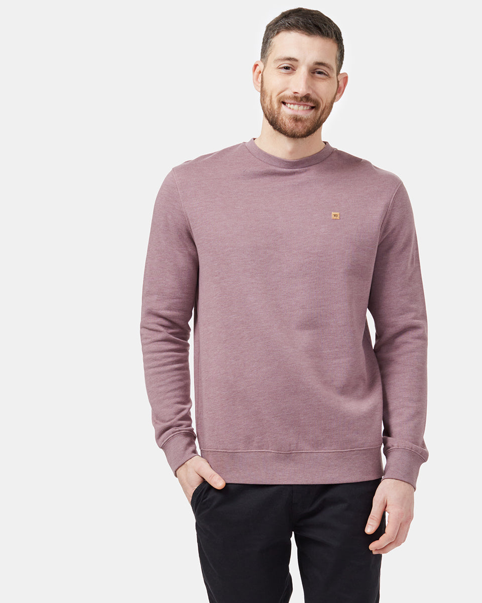 Purple Men's Eco-Friendly Pullover