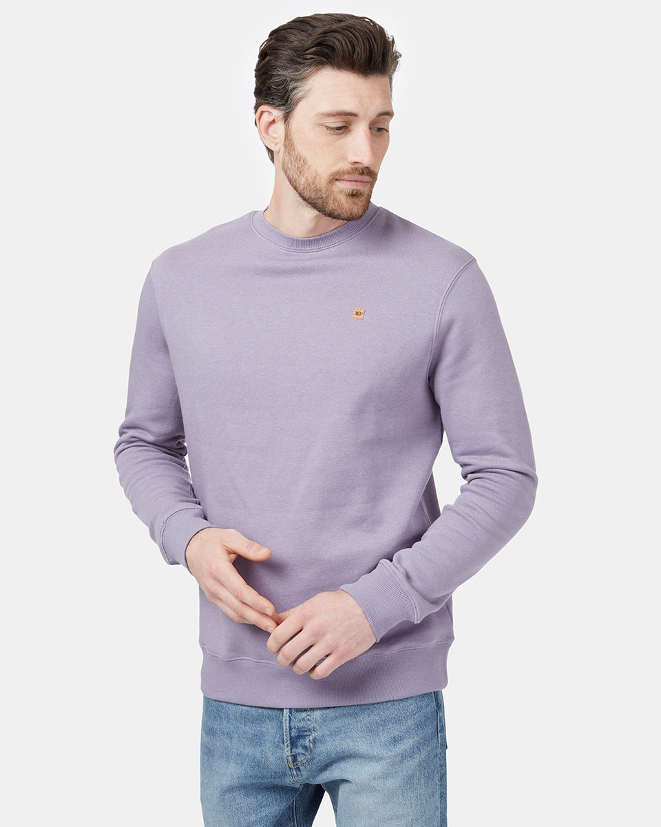 Purple Men's Eco-Friendly Pullover
