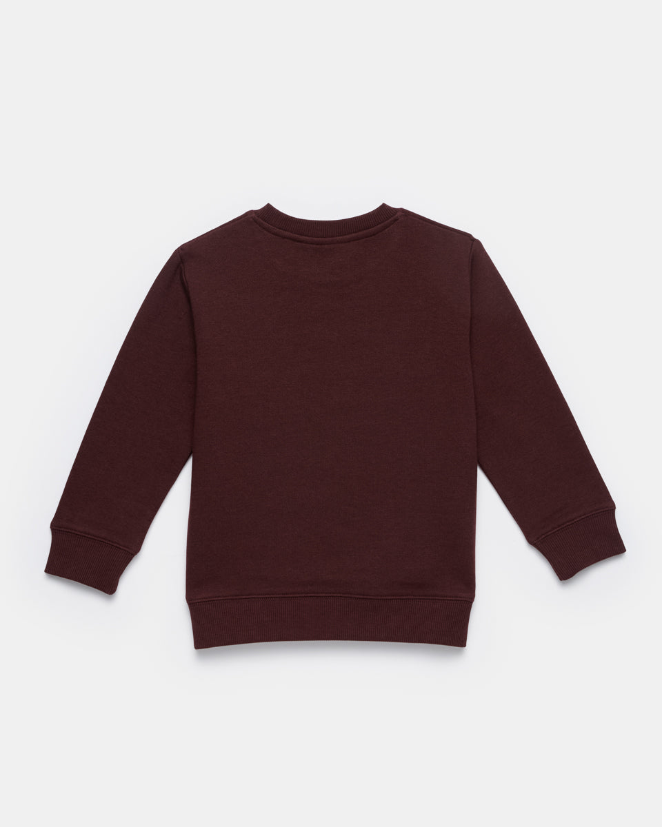 Red Kids Organic Cotton Fleece Sweatshirt