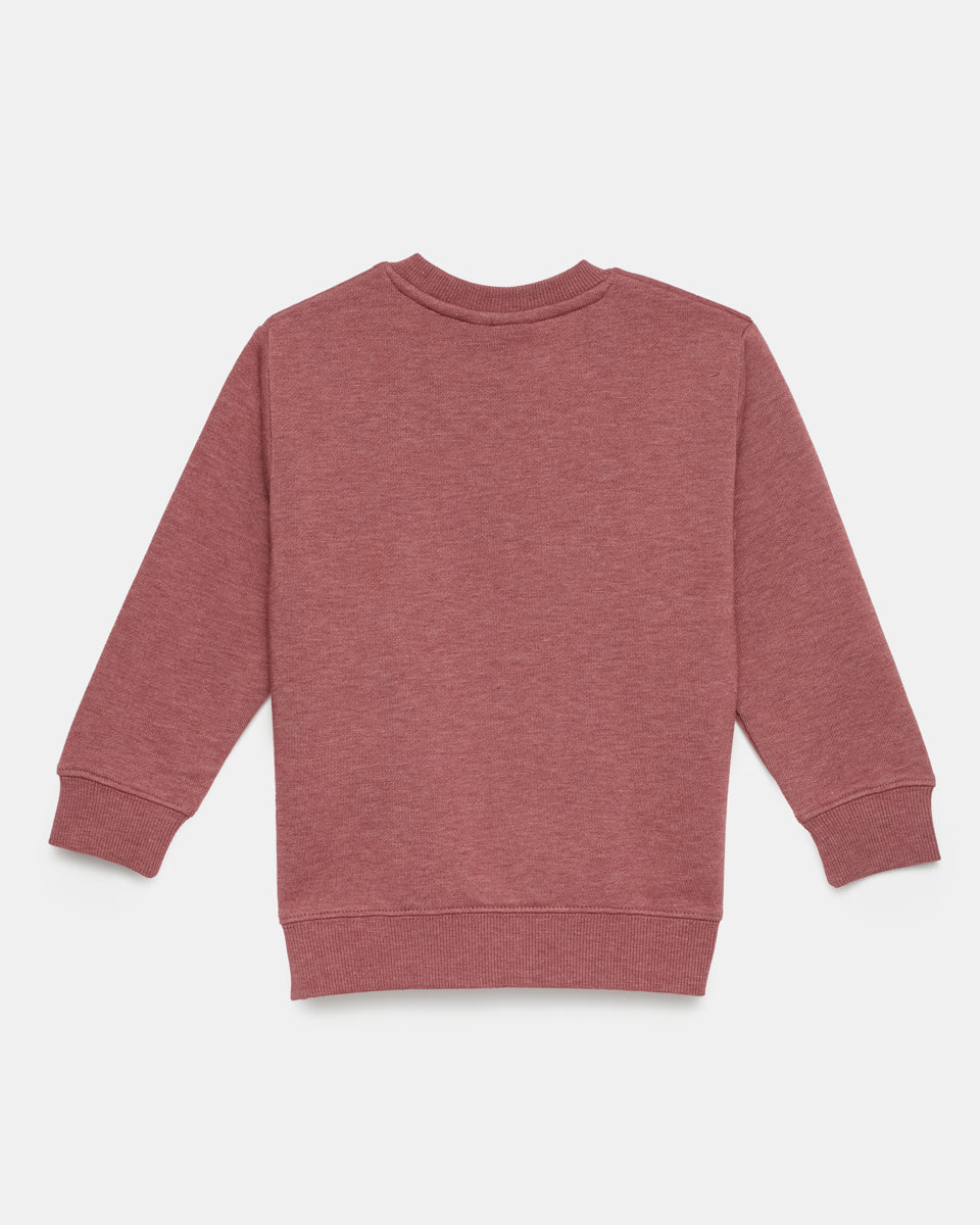 Red Kids Organic Cotton Fleece Sweatshirt