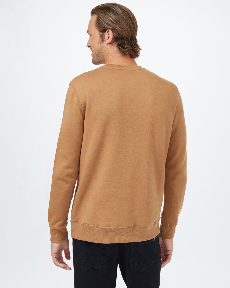 Brown Men's Eco-Friendly Pullover